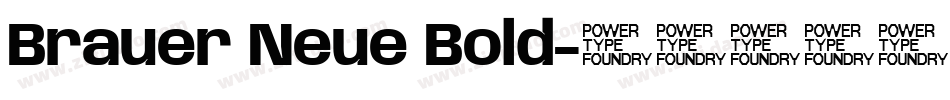 Brauer Neue Bold字体转换